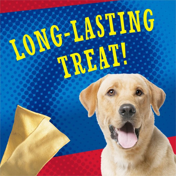 Show full view: ALPO Chew-eez Tasty Beefhide Dog Treats, 454-g pouch slide 4 of 9