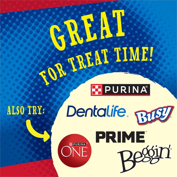 Show full view: ALPO Chew-eez Tasty Beefhide Dog Treats, 454-g pouch slide 6 of 9