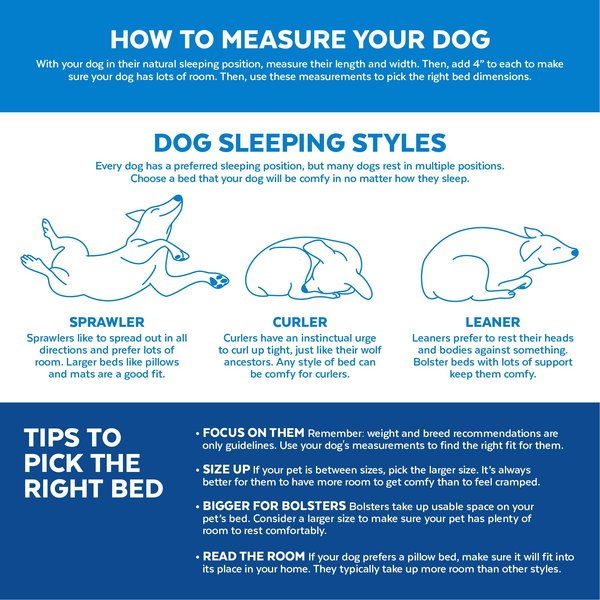 Show full view: Frisco Rectangular Bolster Cat & Dog Bed, Brown, Large slide 4 of 9