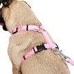 Show in main carousel: Frisco Padded Nylon No Pull Dog Harness, Pink, S - Girth 16 to 22-in slide 2 of 10
