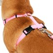 Show in main carousel: Frisco Padded Nylon No Pull Dog Harness, Pink, M- Girth 22 to 34-in slide 2 of 10