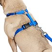 Show in main carousel: Frisco Padded Nylon No Pull Dog Harness, Blue, S - Girth 16 to 22-in slide 2 of 10