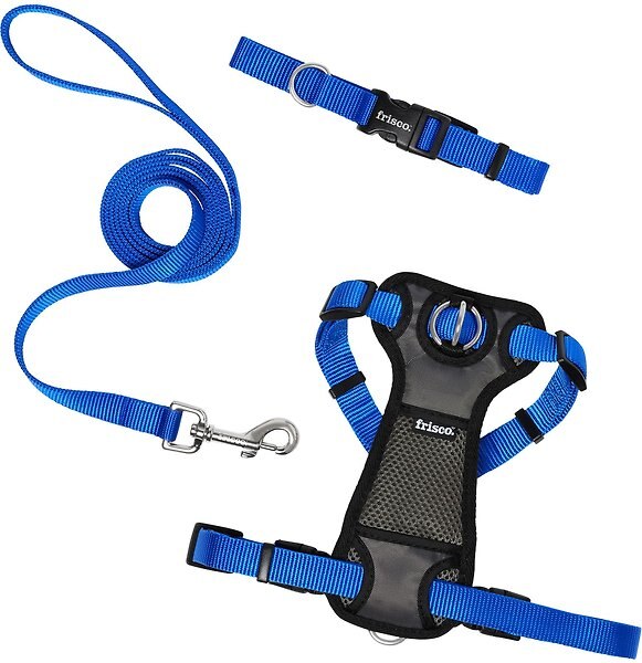Show full view: Frisco Padded Nylon No Pull Dog Harness, Blue, S - Girth 16 to 22-in slide 5 of 10