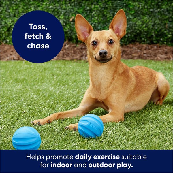 Show full view: Frisco Foam Rubber Floating Fetch Ball No Squeak Dog Toy, Medium, 2 count slide 5 of 6