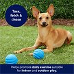 Show in main carousel: Frisco Foam Rubber Floating Fetch Ball No Squeak Dog Toy, Medium, 2 count slide 5 of 6