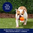Show in main carousel: Frisco Fetch TPR Squeaking Ball Dog Toy, Orange, Large slide 5 of 7
