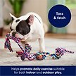 Show in main carousel: Frisco Rope Multipack for Small to Medium Dog Toys, 4 count slide 3 of 5
