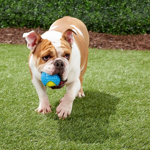 Show full view: Frisco Tennis Ball with Rubber Sleeve, Medium slide 4 of 8