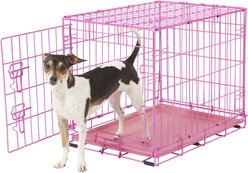 Frisco Fold & Carry Single Door Collapsible Wire Dog Crate, 61-cm, Pink