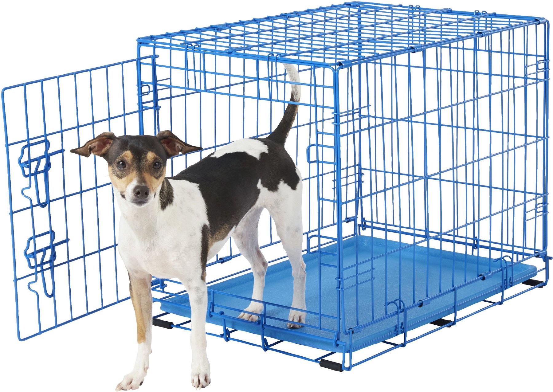 FRISCO Fold Carry Single Door Collapsible Wire Dog Crate 24