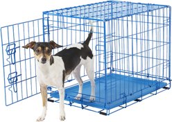 Frisco Fold & Carry Single Door Collapsible Wire Dog Crate, 61-cm, Blue