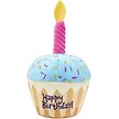 Show in main carousel: Frisco Birthday Cupcake Plush Squeaky Dog Toy slide 1 of 4