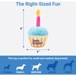 Show in main carousel: Frisco Birthday Cupcake Plush Squeaky Dog Toy slide 2 of 4