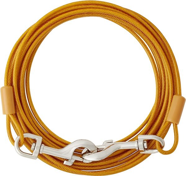 FRISCO Tie Out Cable, Medium, Color Varies, 15ft Chewy Canada