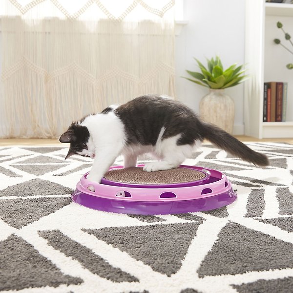 Show full view: Frisco Scratch & Roll Scratcher Cat Toy with Catnip slide 3 of 6