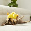 Show in main carousel: Frisco Plush Squeaky Duck Dog Toy, Small slide 3 of 4