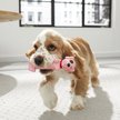 Show in main carousel: Frisco Latex Squeaky Puppy Toy, Pink slide 5 of 8