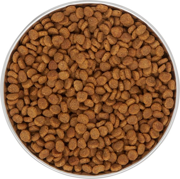 Show full view: Frisco Heavy Duty Non-Skid Saucer Cat Bowl, 1 Cup, Red slide 5 of 9