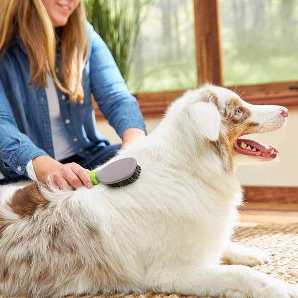 Show full view: Frisco Cat & Dog Bristle Brush, One-Size slide 3 of 6