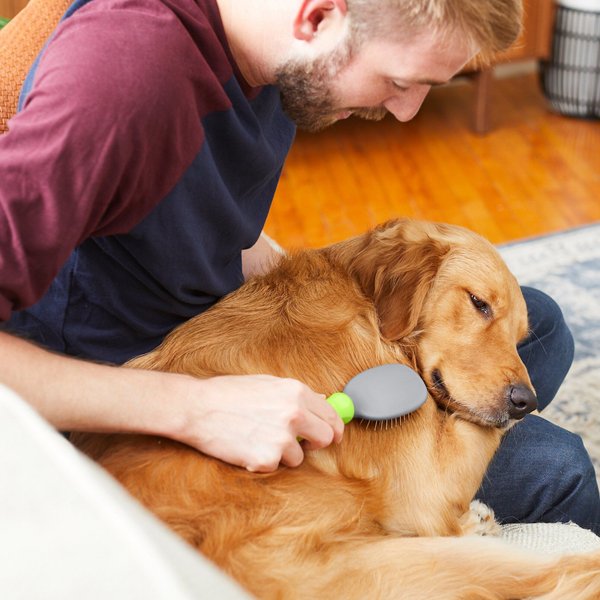 Show full view: Frisco Cat & Dog Pin Brush, One-Size slide 4 of 7