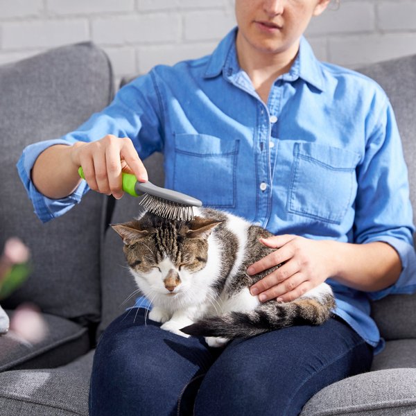 Show full view: Frisco Cat & Dog Pin Brush, One-Size slide 5 of 7