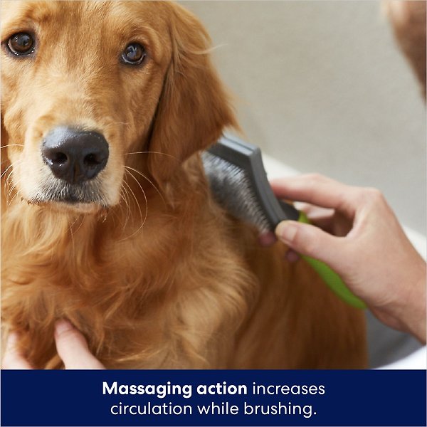 Show full view: Frisco Self-Cleaning Slicker Dog Brush, Large slide 5 of 7