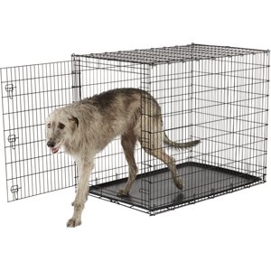 Chewy 54 sale crate