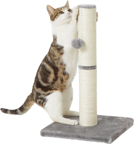 Show full view: Frisco 21-in Sisal Cat Scratching Post with Toy, Gray slide 3 of 8