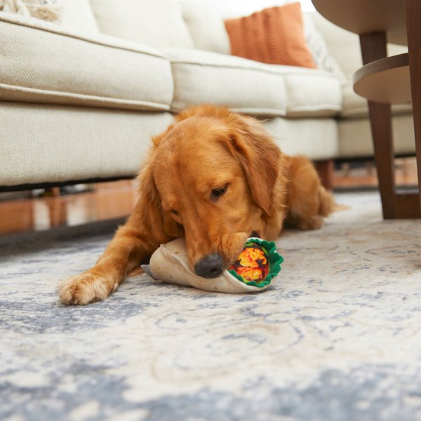 Show full view: Frisco Plush Burrito Dog Toy slide 3 of 5