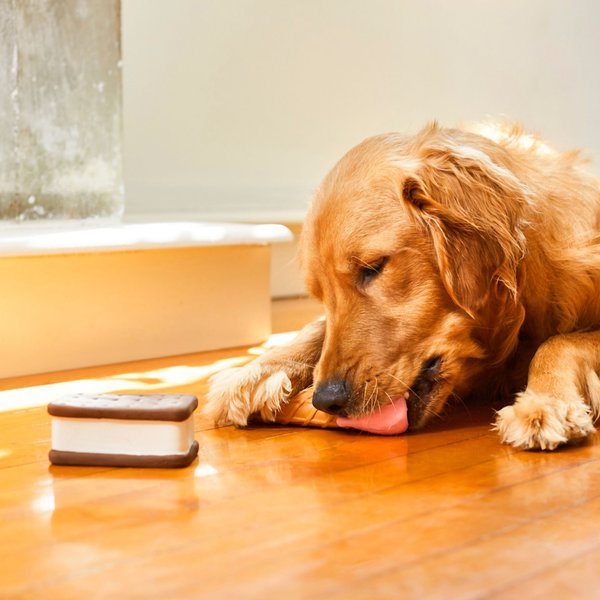 Show full view: Frisco Ice Cream Sandwich & Ice Cream Cone Latex Squeaky Dog Toy, 2 count slide 3 of 5