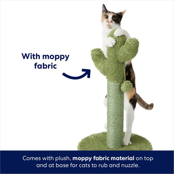 Show full view: Frisco Cactus Cat Scratching Post, 22-in slide 3 of 6