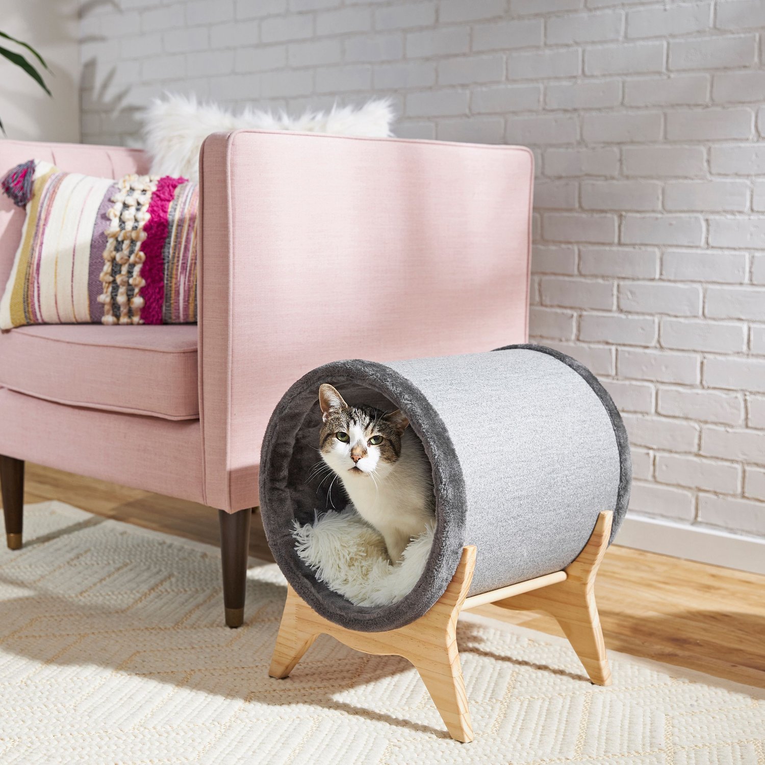 FRISCO Modern Tunnel Elevated Cat Bed Chewy Canada