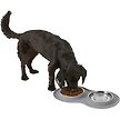 Show in main carousel: Frisco Double Stainless Steel Pet Bowl with Silicone Mat, Light Gray, Small:1.5 Cup slide 5 of 8