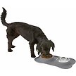 Show in main carousel: Frisco Double Stainless Steel Pet Bowl with Silicone Mat, Gray, 1.75 Cup slide 6 of 9