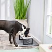 Show in main carousel: Frisco Marble Print Stainless Steel Double Elevated Dog Bowl, Black Stand, 3 Cup slide 6 of 8