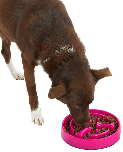 Show full view: Frisco Bone Shaped Ridges Slow Feed Bowl, 3 Cup, Pink slide 6 of 9
