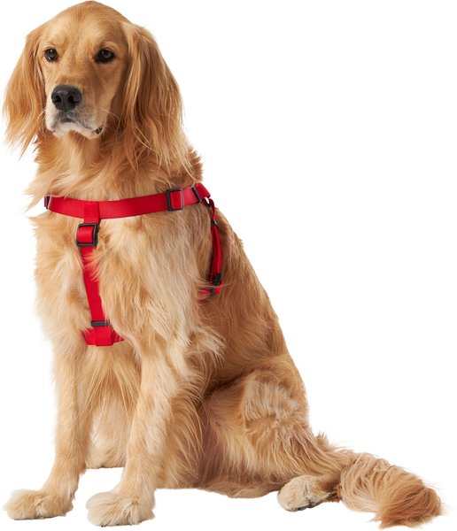Show full view: Frisco Nylon Step In Back Clip Dog Harness, Red, Large: 26 to 38-in chest slide 3 of 7
