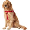 Show in main carousel: Frisco Nylon Step In Back Clip Dog Harness, Red, Large: 26 to 38-in chest slide 3 of 7