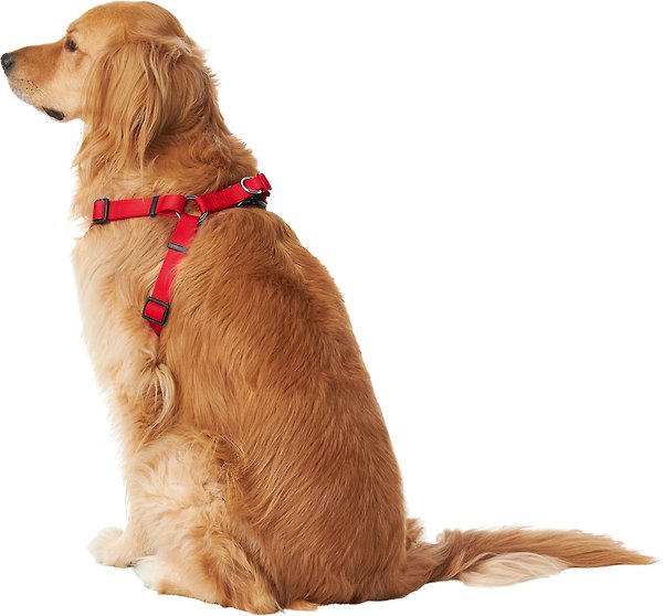 Show full view: Frisco Nylon Step In Back Clip Dog Harness, Red, Large: 26 to 38-in chest slide 4 of 7
