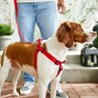Show in main carousel: Frisco Nylon Step In Back Clip Dog Harness, Red, Large: 26 to 38-in chest slide 5 of 7