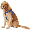 Show in main carousel: Frisco Nylon Step In Back Clip Dog Harness, Blue, Large: 26 to 38-in chest slide 3 of 7