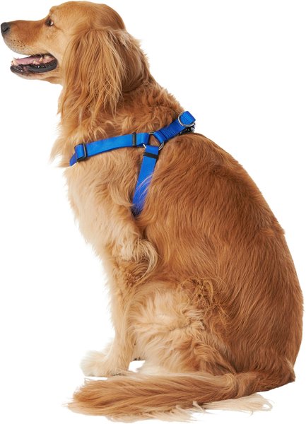 Show full view: Frisco Nylon Step In Back Clip Dog Harness, Blue, Large: 26 to 38-in chest slide 4 of 7