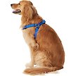 Show in main carousel: Frisco Nylon Step In Back Clip Dog Harness, Blue, Large: 26 to 38-in chest slide 4 of 7