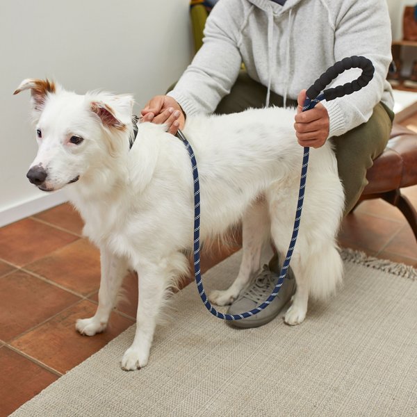Show full view: Frisco Rope Dog Leash with Padded Handle, 5-ft long, Blue slide 4 of 5