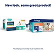 Show in main carousel: Frisco Printed Dog Training & Potty Pads, 22 x 23-in, Unscented, 50 Count, Paws & Bones slide 2 of 10