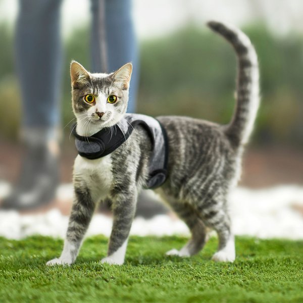 Show full view: Frisco Wrap Cat Harness & Leash, Petite: 9 to 14-in chest slide 5 of 8