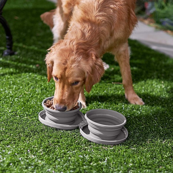 Show full view: Frisco Travel Collapsible Silicone Dog & Cat Bowl, Gray, Medium: 3 cup slide 6 of 8