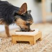 Show in main carousel: Frisco Square Melamine Dog & Cat Bowl with Bamboo Stand, 1.25 Cup slide 7 of 8