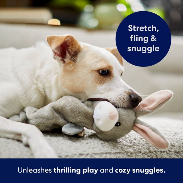 Show full view: Frisco Bunny Bungee Plush Squeaky Dog Toy, Large slide 5 of 7