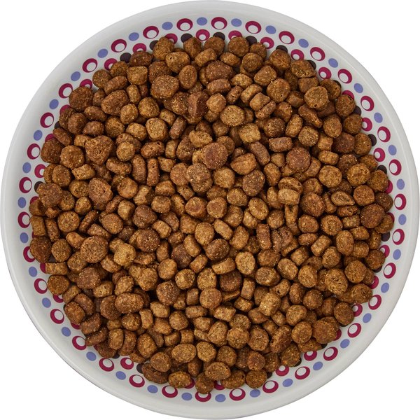 Show full view: Frisco Kaleidoscope Pattern Non-skid Ceramic Cat Dish, 0.5 Cup, Purple slide 3 of 7